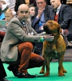 Guusje & Matthew Crufts 2014 1